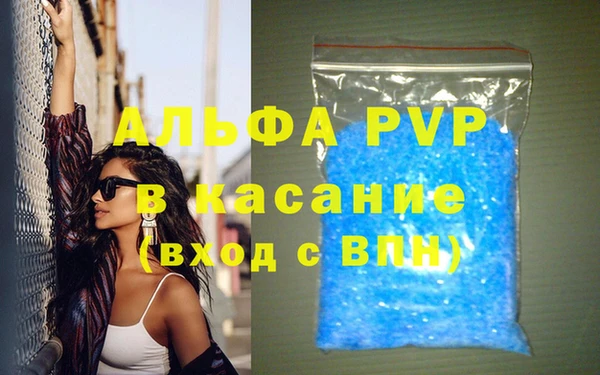 сатива Волосово