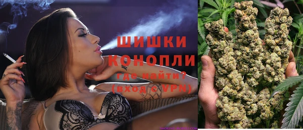 сатива Волосово