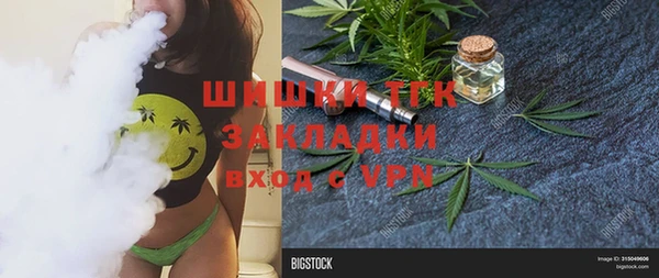 сатива Волосово