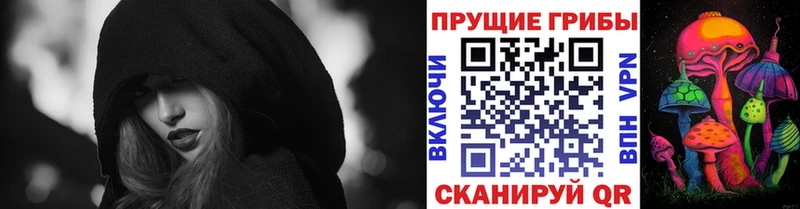 как найти закладки  Волгодонск  mega вход  Галлюциногенные грибы Psilocybine cubensis 